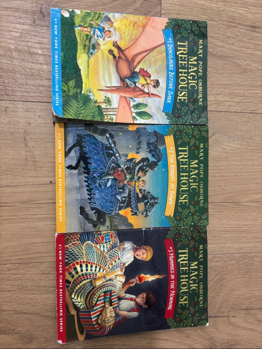 Magic Treehouse Books 1-3
